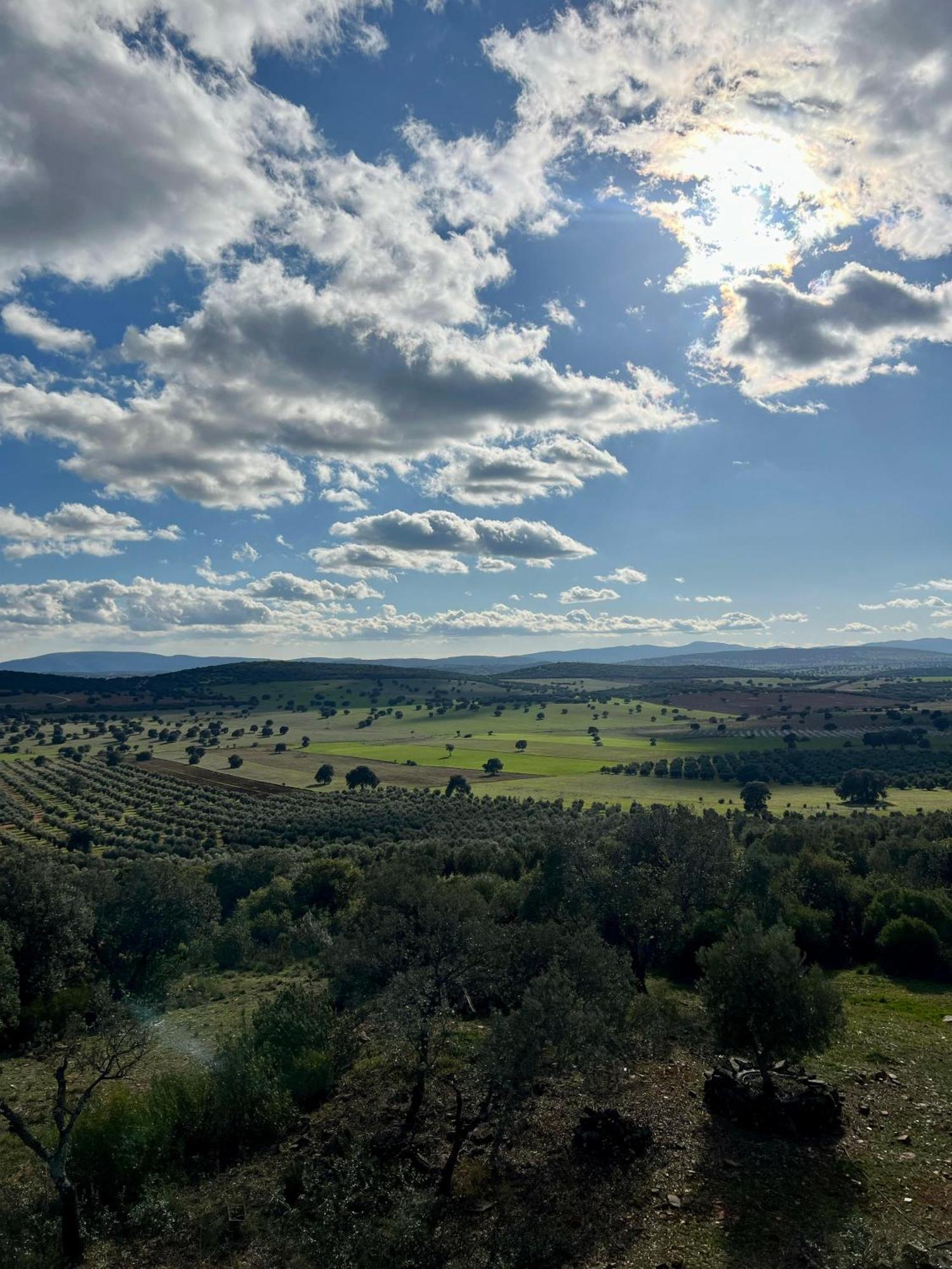 Almuradiel Casa Rural La Morera المظهر الخارجي الصورة